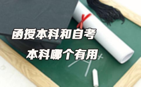 广东函授本科和自考本科哪个有用